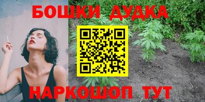 шишки Гусиноозёрск