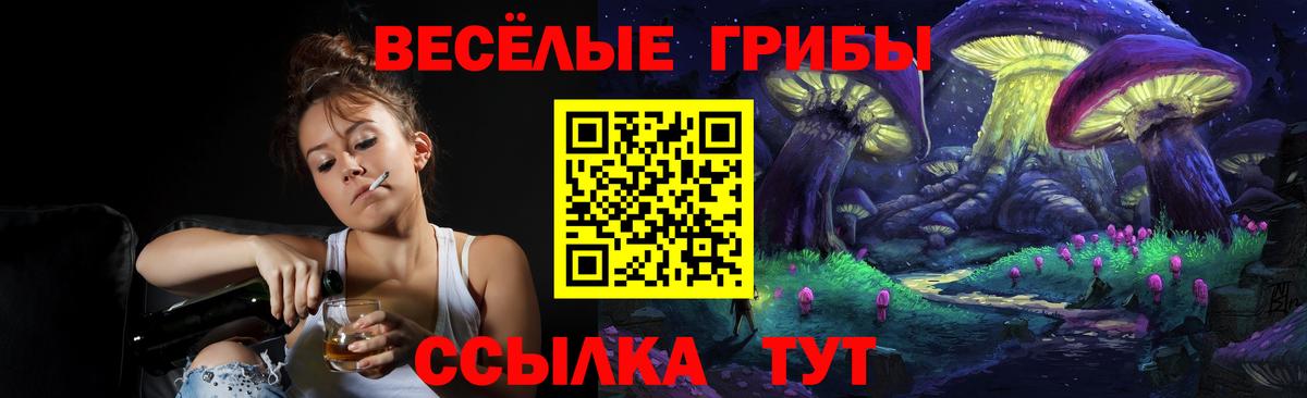 Новоуральск  наркотики  Вход с VPN  Галлюциногенные грибы Psilocybe 
